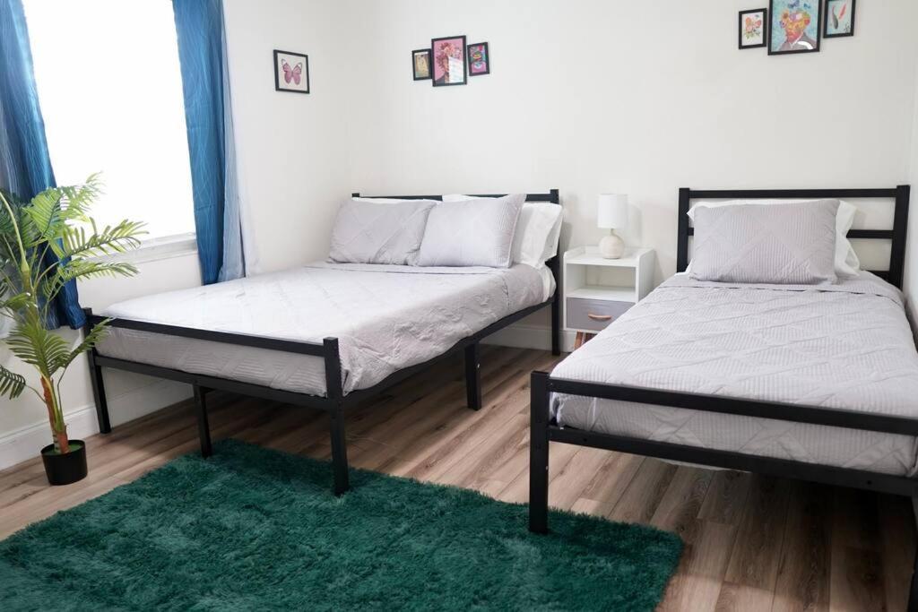 Apartament Jay'S Cozy Arts Tampa Zewnętrze zdjęcie